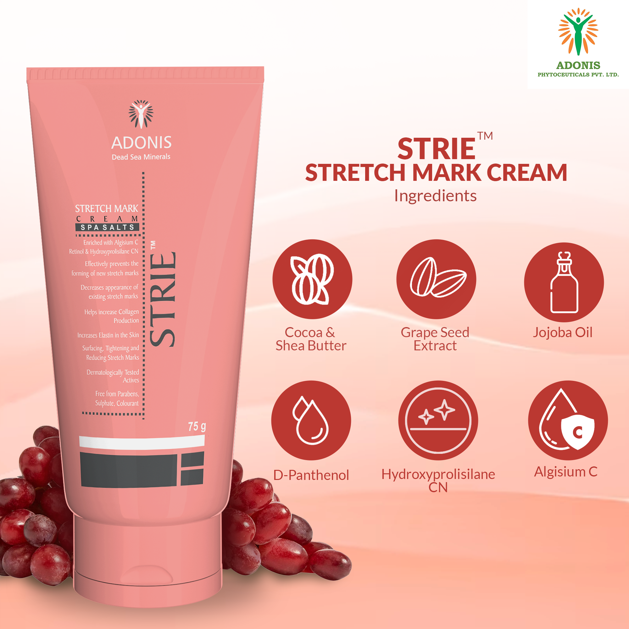 STRIE STRETCH MARKS CREAM